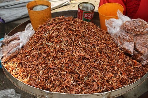 Crayfish